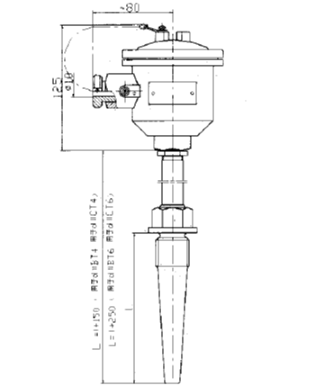 WRN-640固定螺紋錐形保護管防爆熱電偶安裝圖片 WRN-640固定螺紋錐形保護管防爆熱電偶安裝圖片