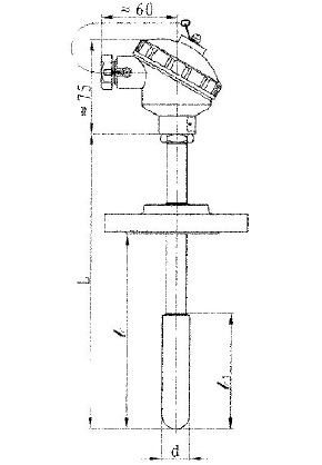 WRNN-436固定法蘭高溫耐磨熱電偶安裝圖片 WRNN-436固定法蘭高溫耐磨熱電偶安裝圖片