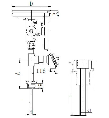 WSSP-371螺紋抽芯式萬向一體化雙金屬溫度計(jì)安裝圖片